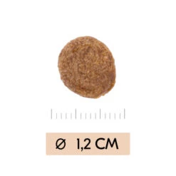 Vetality Gastrointestinal - Hundefutter -Heimtierbedarf Seri vetality gastrointestinal hondenvoer 195449 0500 none