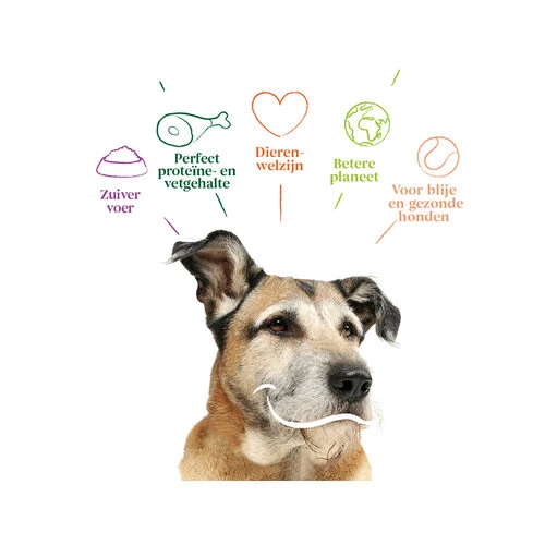 Yarrah - Trockenfutter Senior Mit Huhn, Fisch Und Kräutern Bio 3 Yarrah - Trockenfutter Senior Mit Huhn, Fisch Und Kräutern Bio – Bild 3