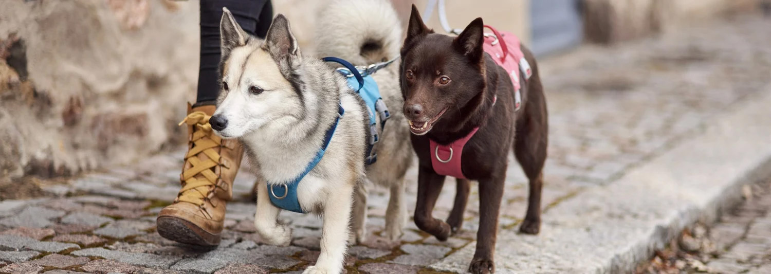 Heimtierbedarf Seri 18 Heimtierbedarf Seri -Heimtierbedarf Seri 2